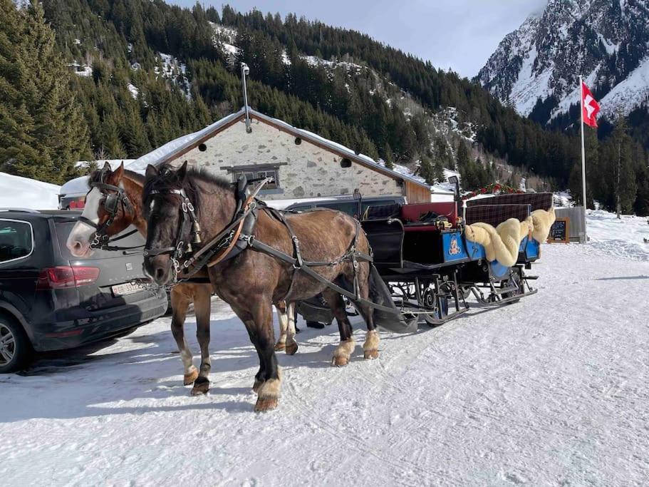 Mountain View Klosters